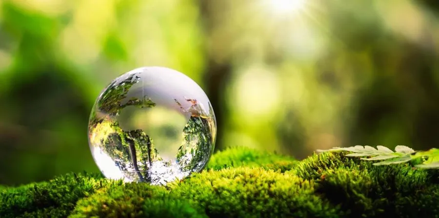 São João Nepomuceno declara alerta verde: Semana do Meio Ambiente discute a crise climática e mobiliza a cidade
