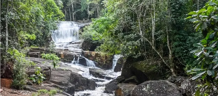 São João Nepomuceno promove integração regional ao sediar Seminário de Turismo com 19 municípios dos Caminhos Verdes de Minas